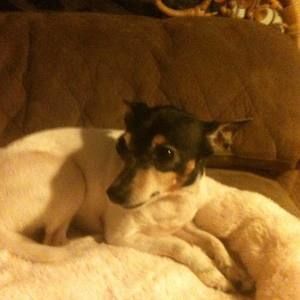 Meet your Posher, Karen